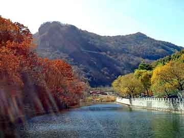 新澳天天开奖资料大全旅游团，江川黑帽seo